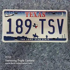 plaque d'immatriculation américaine texas (relief)