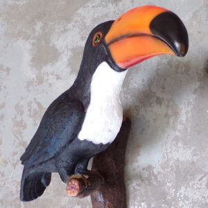 Toucan, oiseau d'Amazonie à fixer au mur