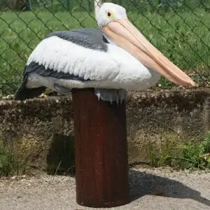Bel oiseau de mer se reposant sur un pilier de ponton