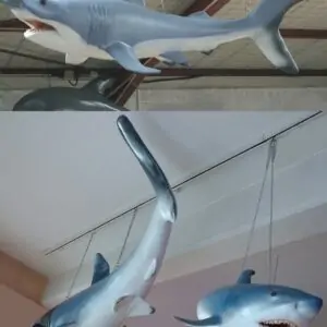 Requin 2m50 Decoration Plage Mer Ocean Moulage Taille Reelle En Resine Et Fibre De Verre Vente Et Location Evenementiel