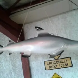 Requin En Resine 1m20