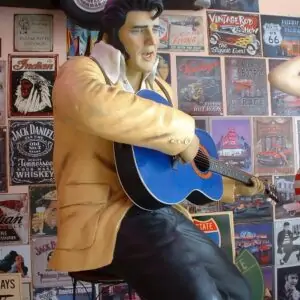 Elvis Guitar 1512 3