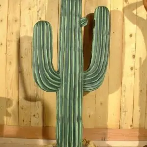 Cactus des plaines d'Arizona