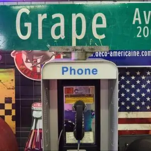 panneaux verts des rues américaines 90.5x23cm s grape ave 200