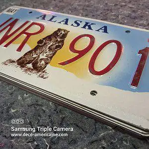 plaque d'immatriculation américaine alaska beer (relief)
