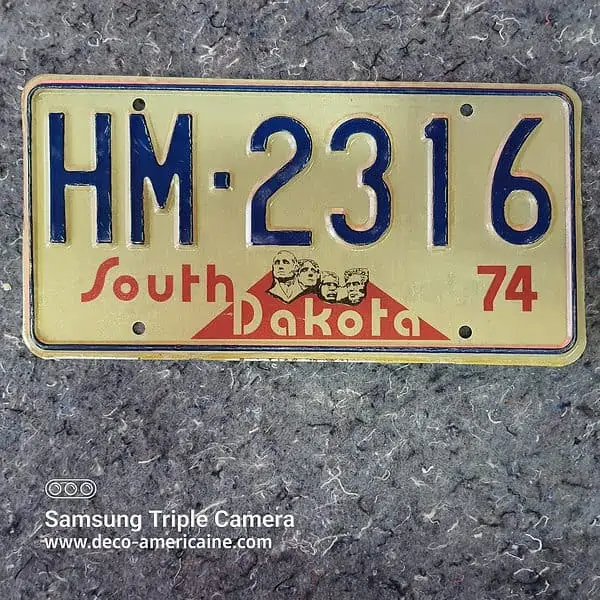 plaque d'immatriculation usa south dakota 2 plaques identiques