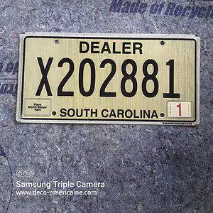 plaque d'immatriculation américaine caroline du sud dealer plaque x (copie)