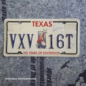 plaque d'immatriculation américaine texas flag (relief) (copie)